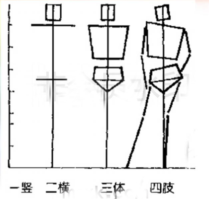 动态速写训练的两大点：体块与比例